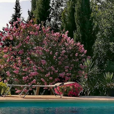 Villa Isabelle Barraca de Aguas Vivas 外观 照片