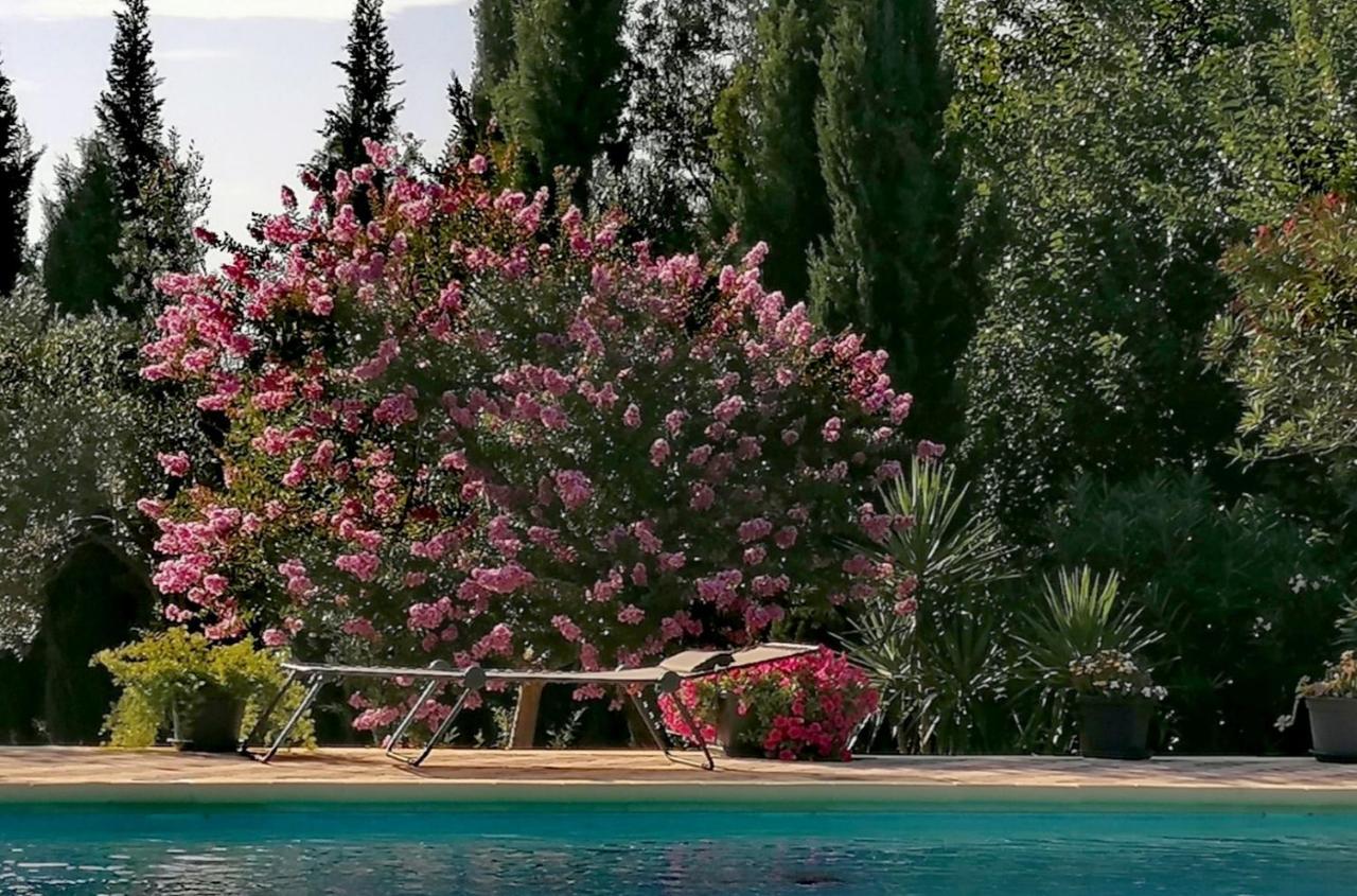 Villa Isabelle Barraca de Aguas Vivas 外观 照片